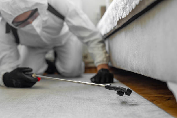 Professional Pest Control technician working in Brown County County, WI
